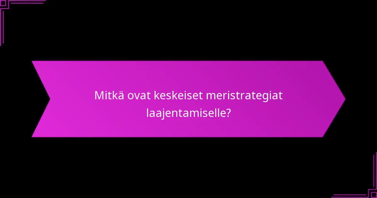 Kuinka resurssien kohdentaminen hallitaan merilaajentamisessa?
